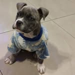 Irma Trujillo - @irma.trujillo.39142 - Instagram