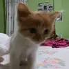 Irma Urbina - @irma.urbina40 - TikTok