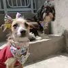 paçoca e Jujuba 💖🥰💖❤️ - @irmas.valentin - TikTok
