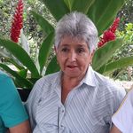 Irma Vallejo - @irma.vallejo.7186 - Instagram
