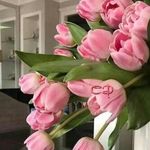 Irma Winterholler - @irmawinterholler - Instagram