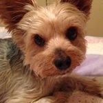 Irma Hurtado-Yeager - @hurtadoyeager - Instagram