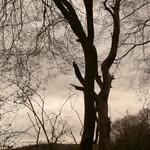 Irmgard Dietzel-Meyer - @irmgard.d.dietzelmeyer - Instagram