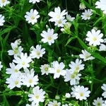 Irmgard Meyer - @irmgard9696 - Instagram