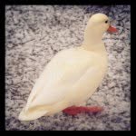 Irvine White - @irvine_white - Instagram
