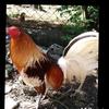 Irvin Barron - @irvin.barron8 - TikTok