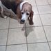 Irvin Burton - Facebook