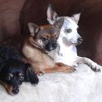 Tammy Chambers Irvin - @tammychambersirvin - Instagram