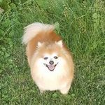 Melissa Collins Irvin - @collinsirvin - Instagram