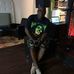 Irvin Thomas - Facebook