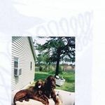 Irvin Thomas Wood - @irvinthomaswood - Instagram