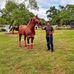 Irving Acosta - Facebook