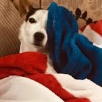 J.Irving Barnes - @julieirvingbarnes - Instagram
