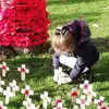 Julie Irving Barnes - @julie.irving.barn - TikTok