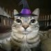 Irving Castro - Facebook
