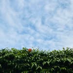 Irving Chan - @muyu.chan - Instagram