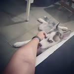 Irving Denis Guillen - @luxaky - Instagram