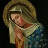 Irving Matamoros - @31840101804 - TikTok