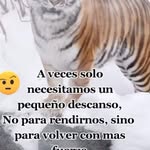 Irving Matos - @matosirving - Instagram