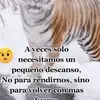 irving matos - @irvingmatos791 - TikTok