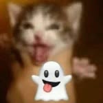 Irving Moreno - @irvingmoreno82 - Instagram