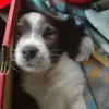 Irving Moreno - @irving.moreno32 - TikTok