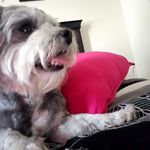 Irving Nevarez - @derpyporpoise - Instagram