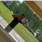 Irving paredes - @irvingparedes45 - Instagram
