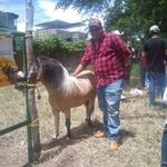 Irving Salgado - @salgadoirving87 - Instagram