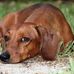 Irving Schultz - Facebook