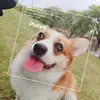 Shawn_Irving - @shawn_irving - TikTok
