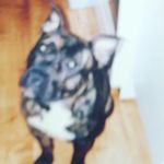 Irving Thomas - @irving6624 - Instagram