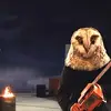 AnacletoThePope🦉 - @irvingwallace - TikTok