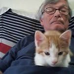 @wallace.irving - Instagram