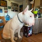 Irwin_green_shaman - @lrwin_green_shaman - Instagram