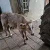 erwinhaas3 - @erwinhaas3 - TikTok