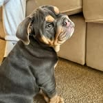Tracey Walker-irwin - @walkerirwin - Instagram