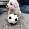 isa reyes - @isa.reyes285 - TikTok