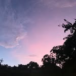 Isa Wang - @isawang3 - Instagram