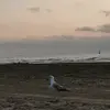 Isa Wang - @yz.0202 - TikTok