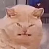 isaac - @isaacabell2 - TikTok
