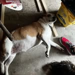 isaacabell - @isaac_abell1 - Instagram