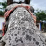 Isaac Madrazo - @isaacalberto786 - Instagram