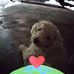 Isaac Aleman - Facebook