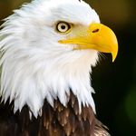 Isaac Archer - @arch.erisaac - Instagram
