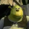 isaacarcher295 - @isaacarcher295 - TikTok
