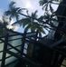 Isaac Ashby - Facebook