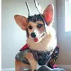 isaacashby57 - @isaac.ashby7 - TikTok