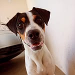 @isaac_e_bacon_2024 - Instagram