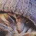 Isaac Bain - Facebook